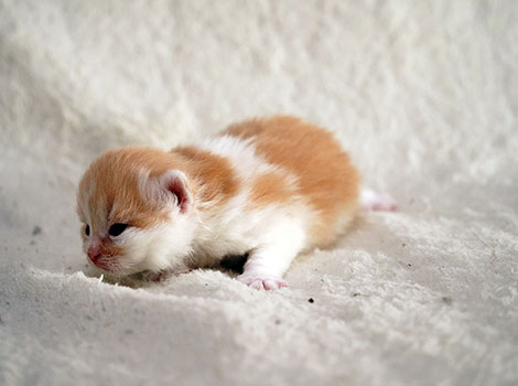 Otto am 8. März 2025